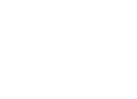 100% Placement Assistance